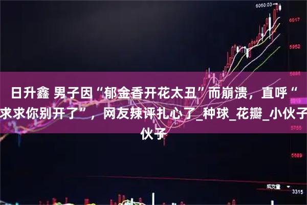日升鑫 男子因“郁金香开花太丑”而崩溃，直呼“求求你别开了”，网友辣评扎心了_种球_花瓣_小伙子